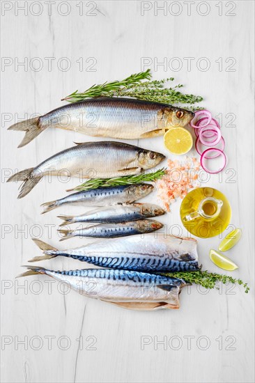 World food day concept. Seafood day. Composition with fresh herring