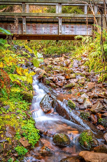 Long exposure of a small stream in the Schoenjungferngrund in the Ore Mountains below the Fichtelberg