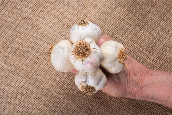 Hand holding cloves of garlic in view on a wooden texture