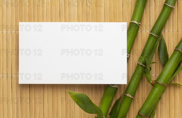 Modern copy space white business card bamboo