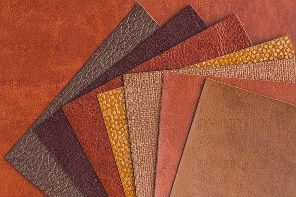 Top view assortment leather. Resolution and high quality beautiful photo