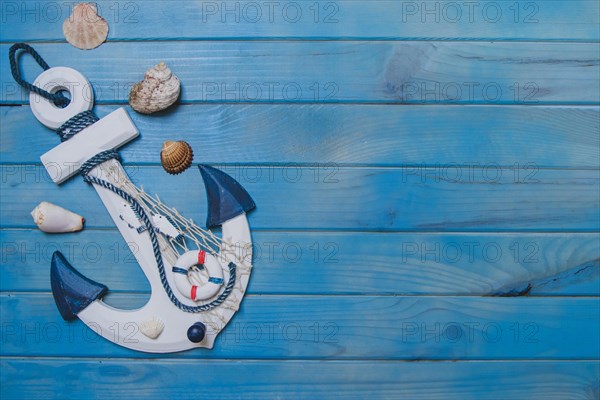 Summer composition with anchor seashells and blank space 1. Resolution and high quality beautiful photo
