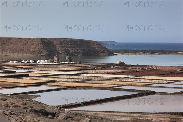 The Salinas de Janubio