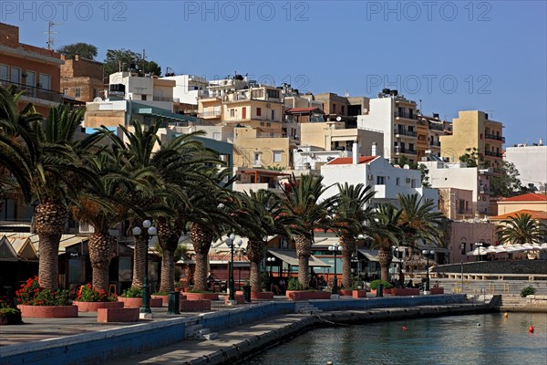 Sitia