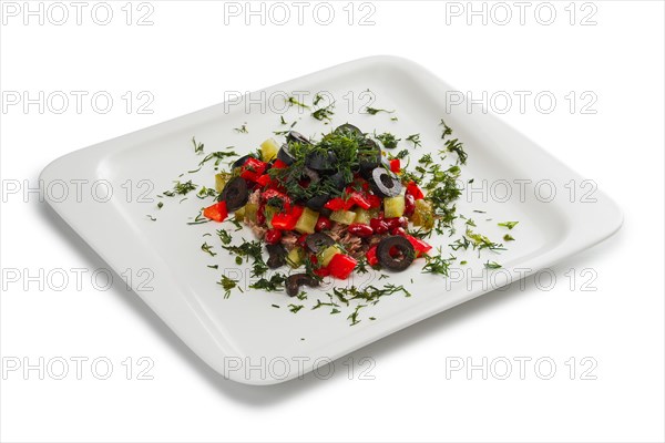 Layout for menu. Salad with meat