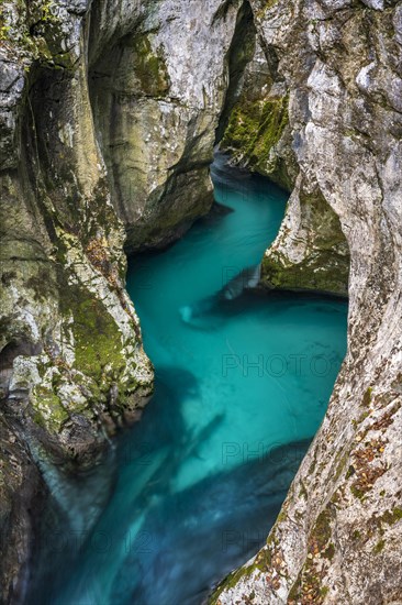 Mountain river Soca flows through narrow canyon