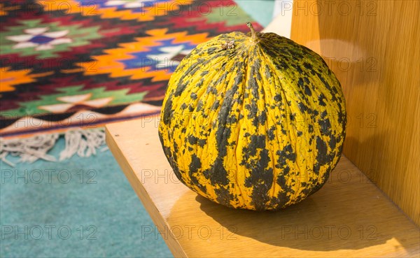 Green speckled melon on wooden floor in the view