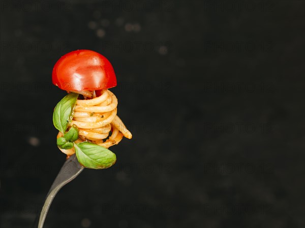 Tasty spaghetti wrapped around fork. Resolution and high quality beautiful photo