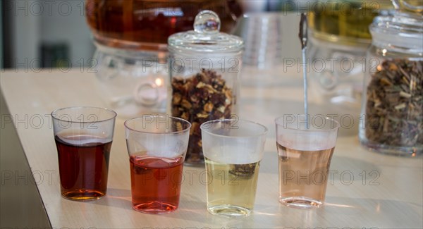 Herbal tea brewed in glass teapot and tea plant in in glasses