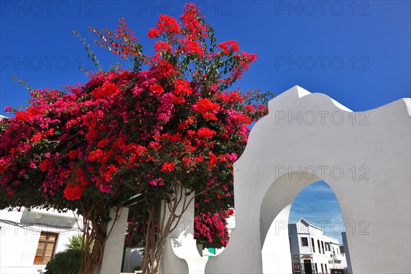 Plaza de la Constitution