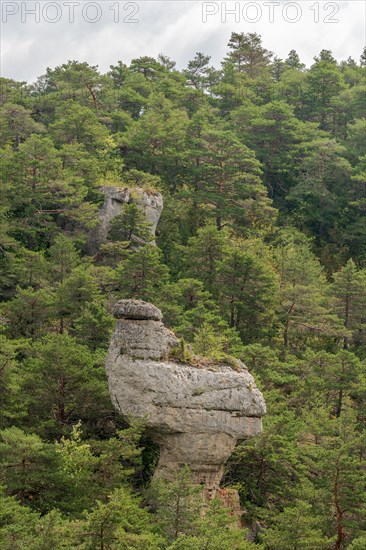 Remarkable rock called La Poule de Houdan in Cevennes National Park