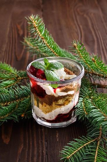 Delicious tiramisu dessert with cherry in rustic pot on dark wooden background