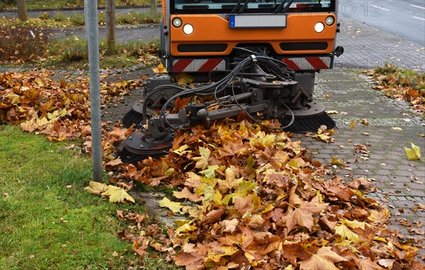 Sweeper sweeps up wilted leaves in autumn