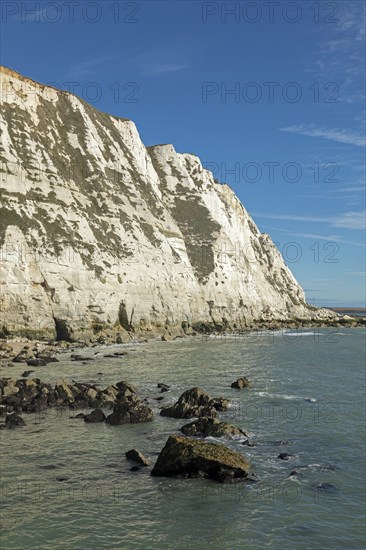 Chalk Cliffs