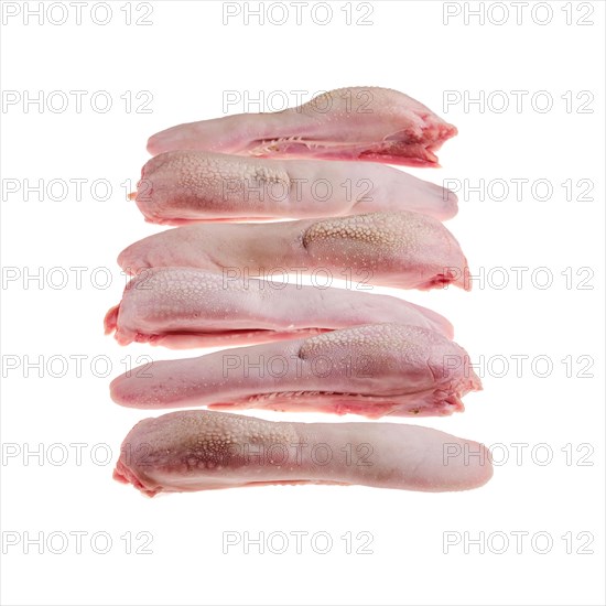 Fresh raw lamb tongue isolated on white background