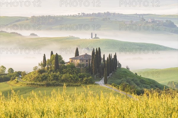 Podere Belvedere