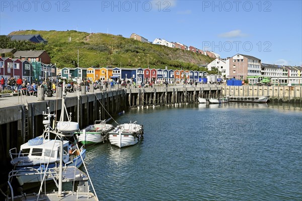 Lobster stalls at the inland harbour