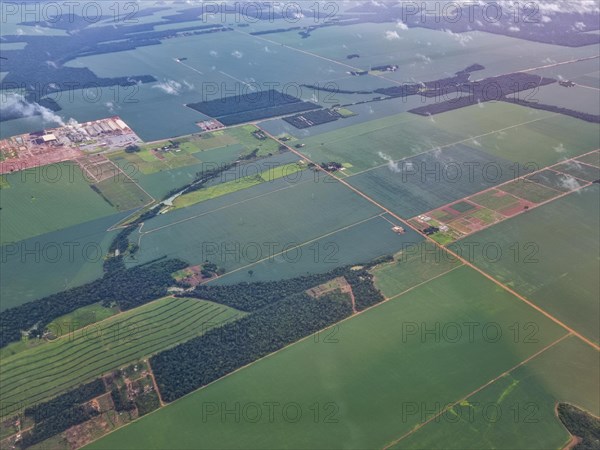 Aerial of the giant soy fields around Sinop