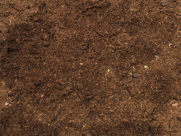 Top view soil. Resolution and high quality beautiful photo