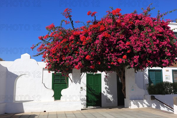 Plaza de la Constitution