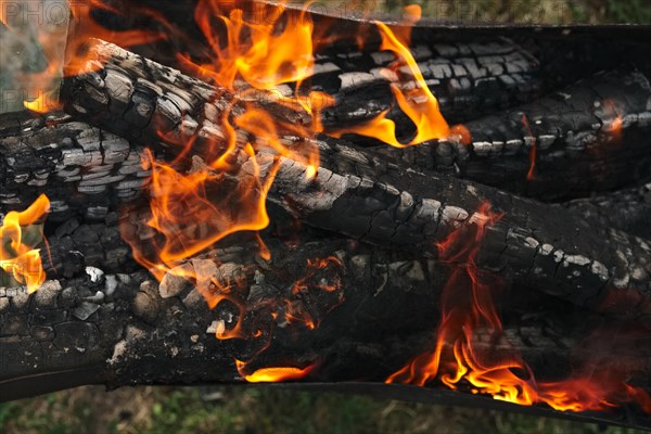 Close up view of burning firewood in the fire outdoor