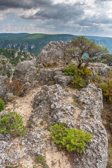 The city of stones