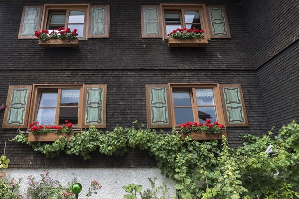 Allgaeu house with shingle facade