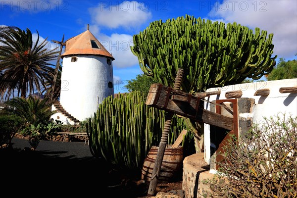 Museo Agricola El Patio in Tiagua