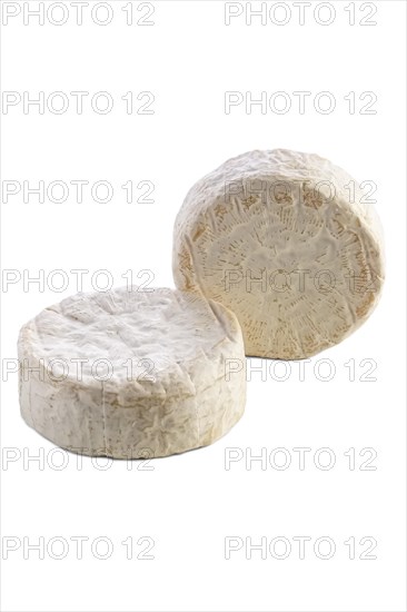 Camembert cheese isolated on white background