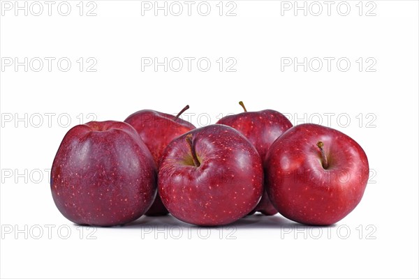 Many red apple fruits on white background