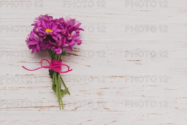 Purple flowers tied white wooden surface. Resolution and high quality beautiful photo