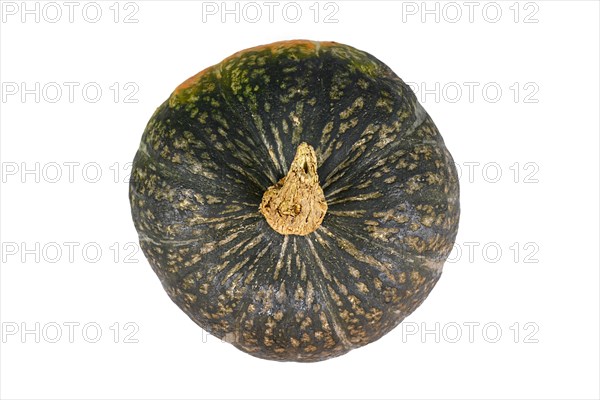 Top view of green Kabocha Hokkaido squash on white background