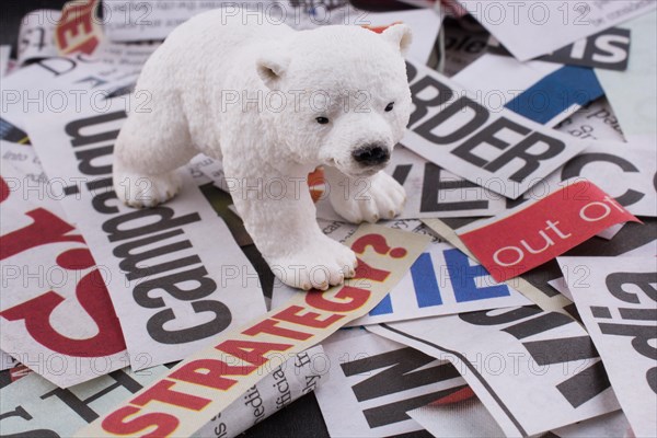 Polar bear on cut newspaper titles