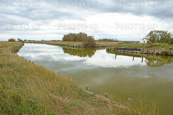 Comacchio Lagoon