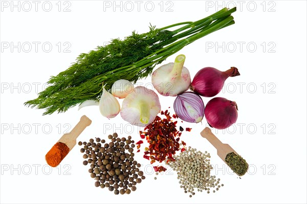 Tot view of set of spice and herbs for everyday cooking isolated on white