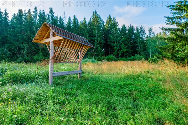 Feeder with slate roof for roe deer