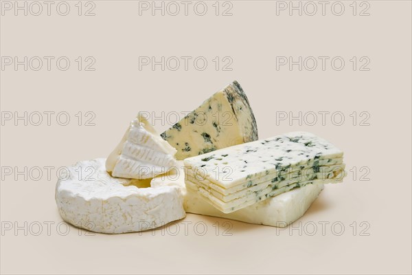 Various types of blue mold cheese