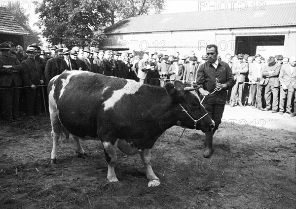 The auction of a bankrupt farm on 22. 09. 1971 in Greven in Muensterland