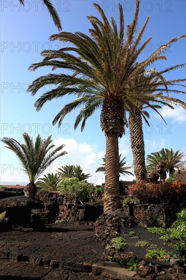 Installations at the Geological Museum in Jameos del Agua