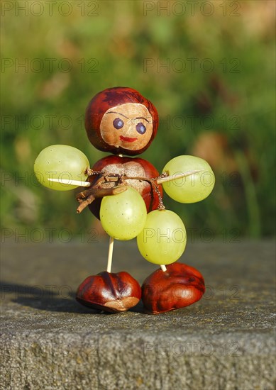 Chestnut figure with grapes in the evening light