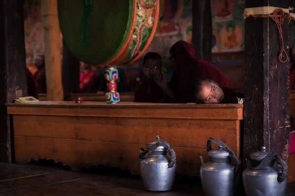 A younf monk resting at Spituk Monastery