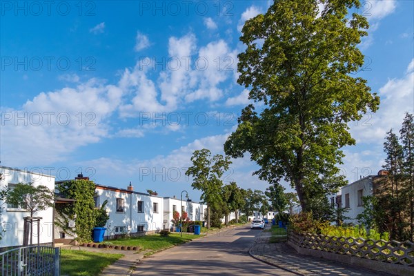 Toerten is best known for the Dessau-Toerten housing estate. It was designed by Walter Gropius after the terraced house settlement Dessau Toerten