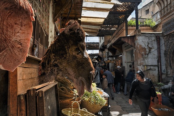 Camel head and meat