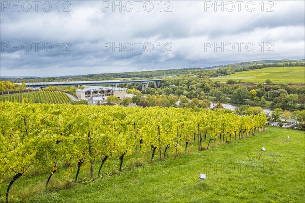 View over the vineyards of the Moselle from Schengen