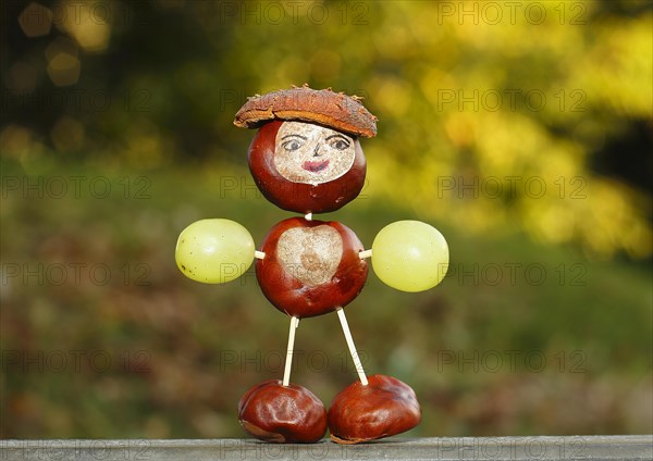 Chestnut figure with grapes in the evening light