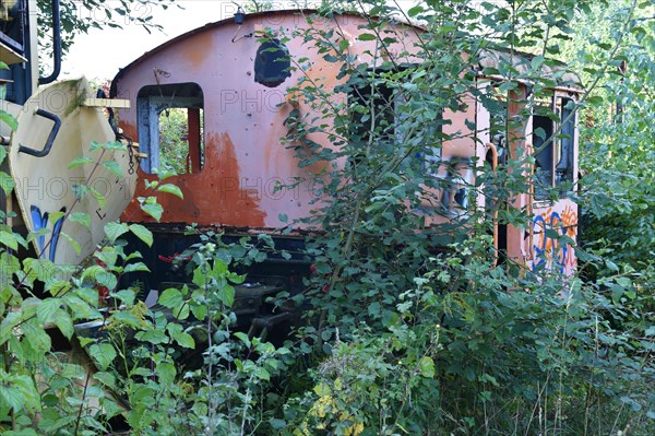 Shunting locomotive of the Harz narrow gauge railway on a siding