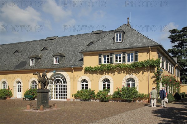 Inner courtyard of Johannisberg Castle with late harvest rider