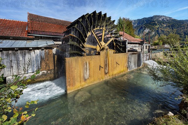 The hammer mill with water wheel