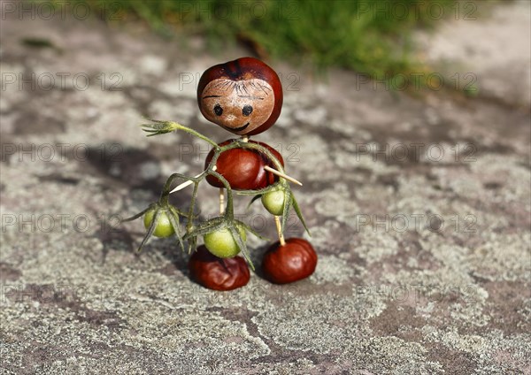 Cute chestnut figure with small tomatoes on wall