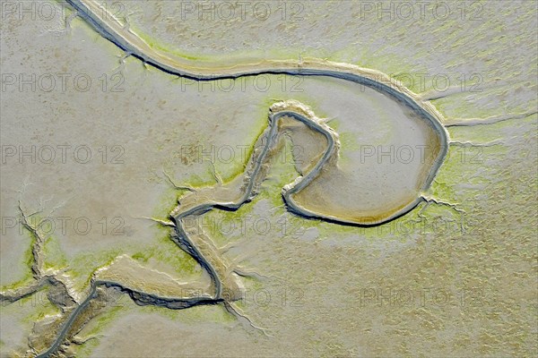 Aerial view of tidal creeks and sandbanks in the North Sea